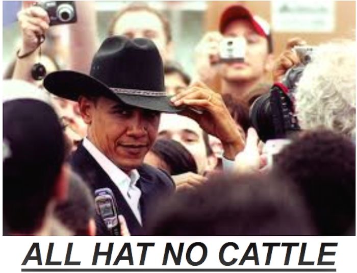 No Cattle