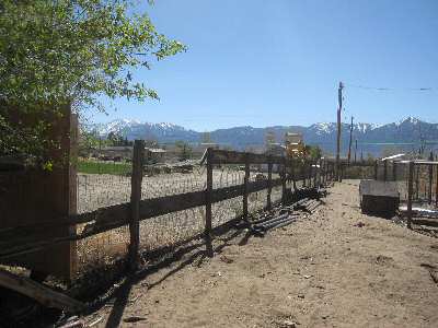 Old Fence