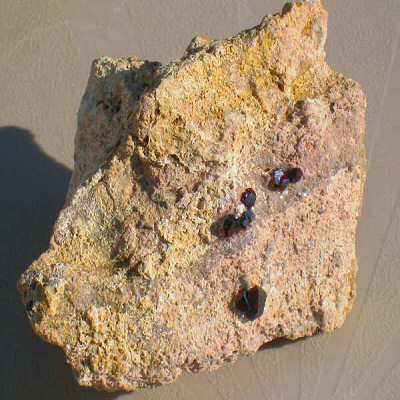 Garnet Hill Garnet from Ely, Nevada