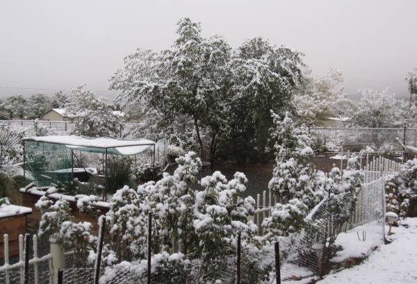 Lake Effedt Snow