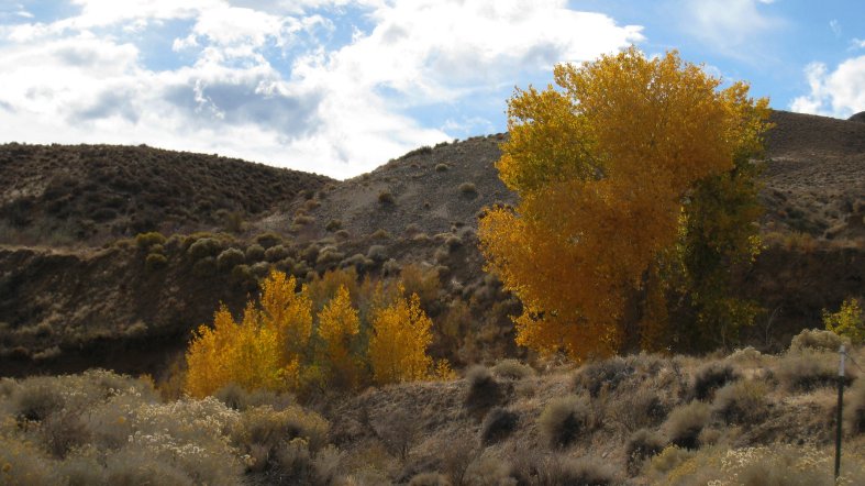 Mason Valley - Fall Scenery