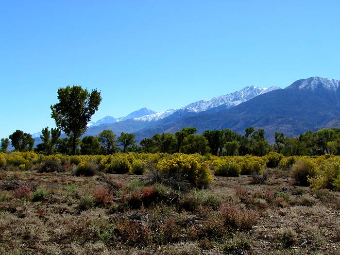 The Eastern Sierra