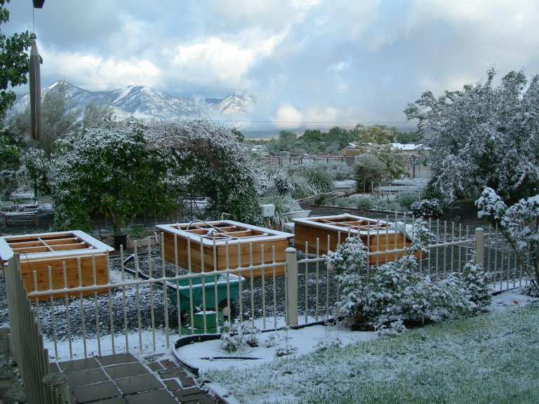 Memorial Day Snow Shower