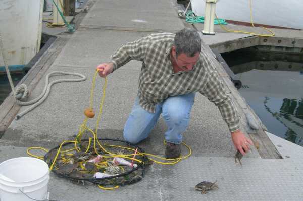 Tossing back the little ones