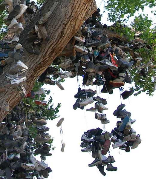 Lots of Shoes