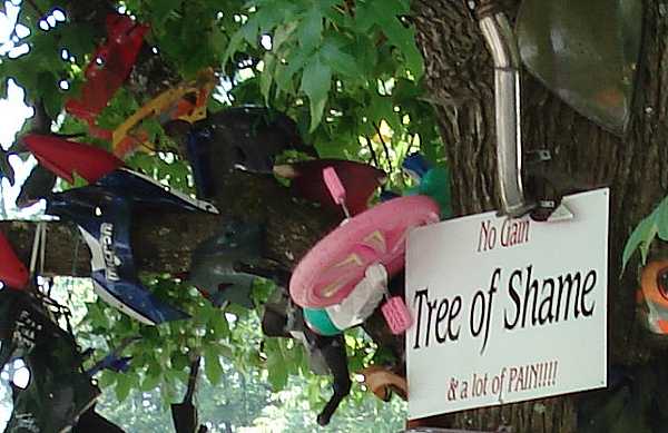 Tree of Shame, Tail of the Dragon
