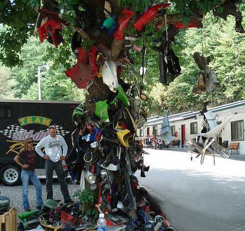 Tree of Shame - Tail of the Dragon