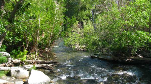 Creek from Convict Lake