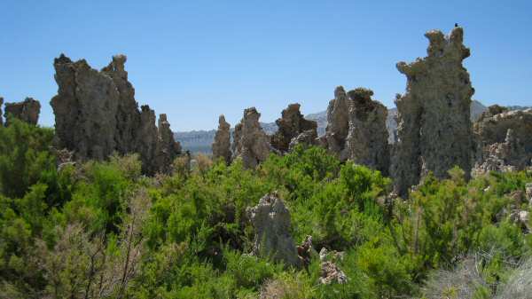 Mono Lake Tufa Reserve