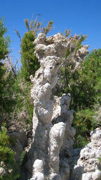 Mono Lake Tufa Reserve