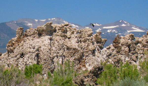 Mono Lake Tufa Reserve
