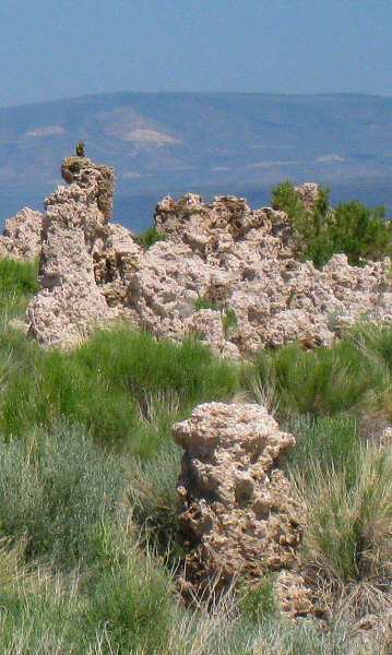 Mono Lake Tufa Reserve