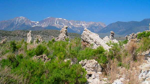 Mono Lake Tufa Reserves