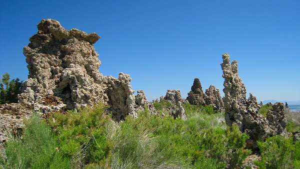 Mono Lake Tufa Reserves