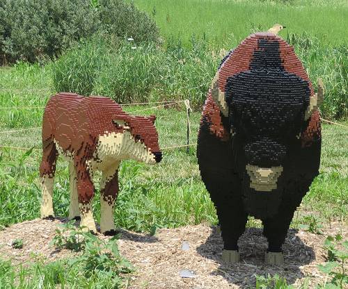 Lego Buffalo