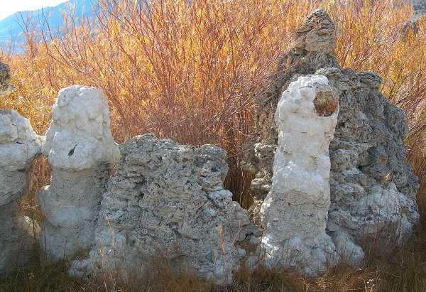 Tufa, North Side