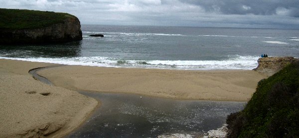 Point Lobos