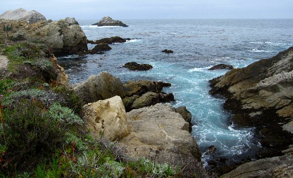 Point Lobos