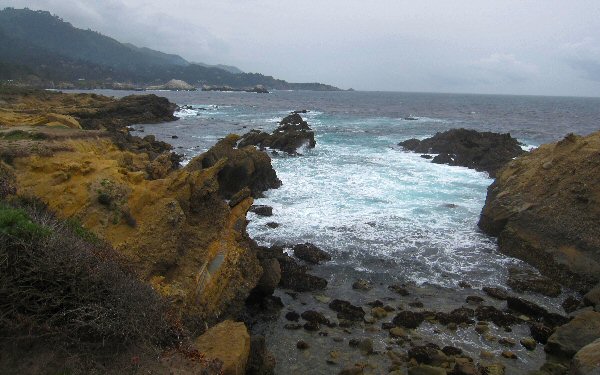 Point Lobos