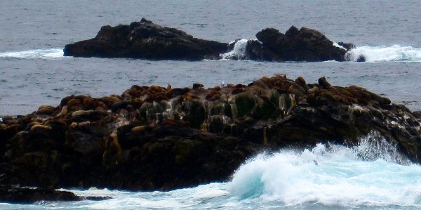 Point Lobos