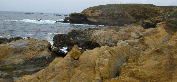 Point Lobos