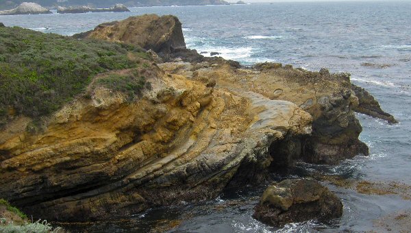 Point Lobos