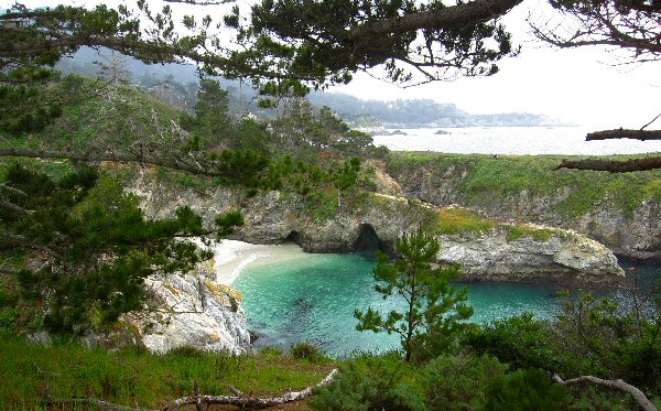 Point Lobos