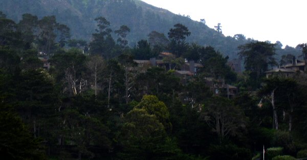 Point Lobos