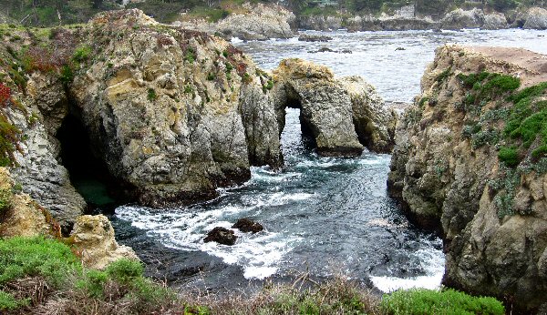 Point Lobos