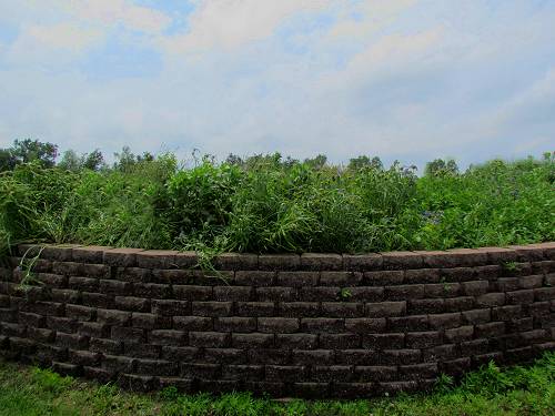 Native Garden