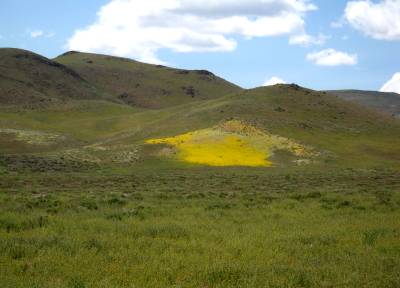 I95 Between Fernley and Silver Springs