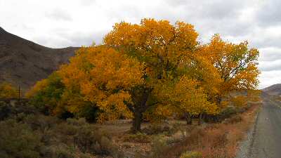 East of Reno