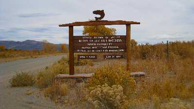 Fish Hatchery