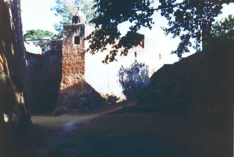 The Fort